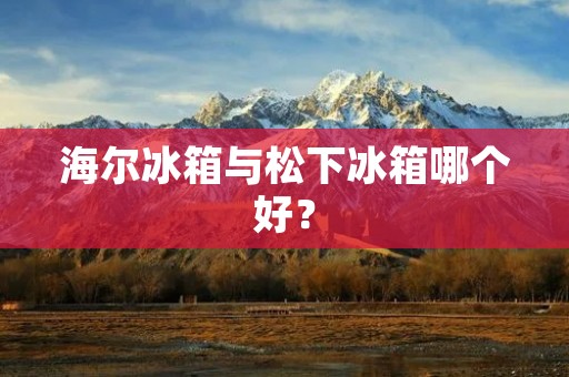 海尔冰箱与松下冰箱哪个好？