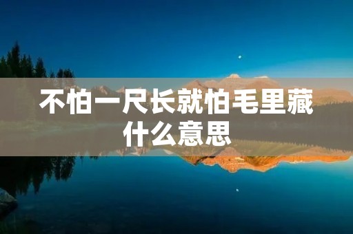不怕一尺长就怕毛里藏什么意思