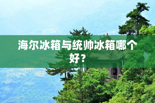 海尔冰箱与统帅冰箱哪个好？