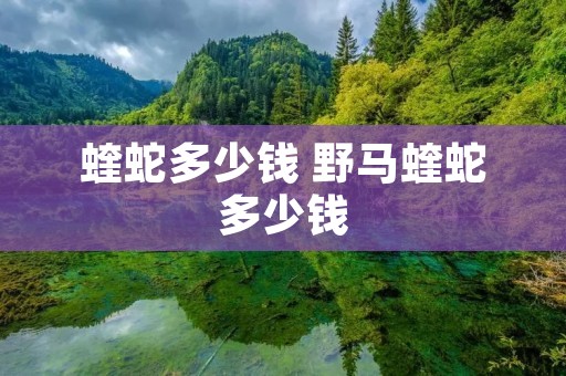 蝰蛇多少钱 野马蝰蛇多少钱
