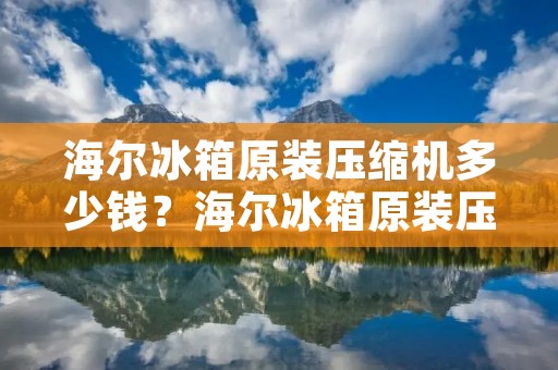 海尔冰箱原装压缩机多少钱？海尔冰箱原装压缩机价格解析