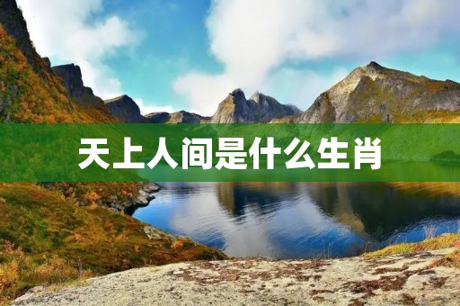 天上人间是什么生肖