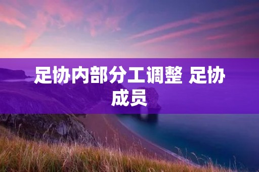 足协内部分工调整 足协成员 足协内部分工调整 足协成员