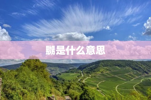 嬲是什么意思