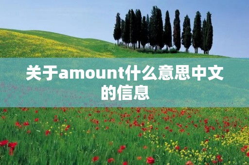 关于amount什么意思中文的信息