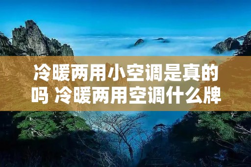 冷暖两用小空调是真的吗 冷暖两用空调什么牌子好 冷暖两用小空调是真的吗 冷暖两用空调什么牌子好