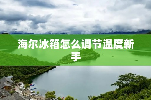 海尔冰箱怎么调节温度新手：详细指南