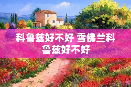 科鲁兹好不好 雪佛兰科鲁兹好不好 科鲁兹好不好 雪佛兰科鲁兹好不好