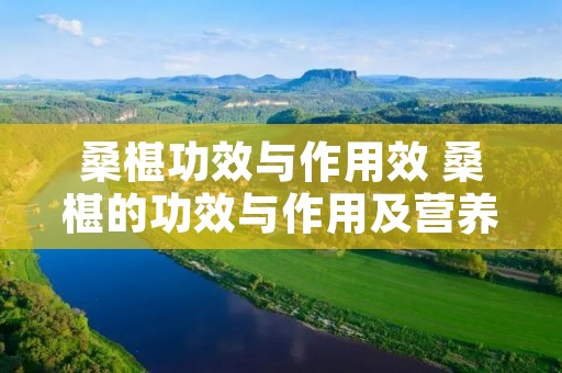 桑椹功效与作用效 桑椹的功效与作用及营养价值