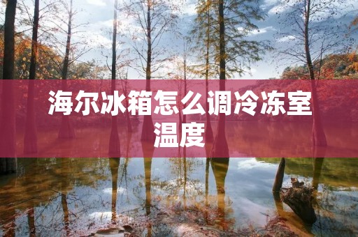 海尔冰箱怎么调冷冻室温度 海尔冰箱怎么调冷冻室温度