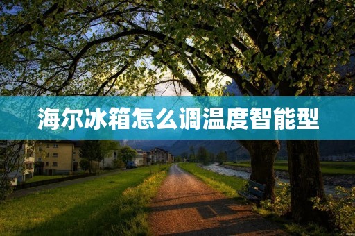 海尔冰箱怎么调温度智能型