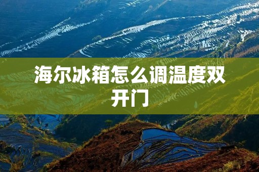 海尔冰箱怎么调温度**门