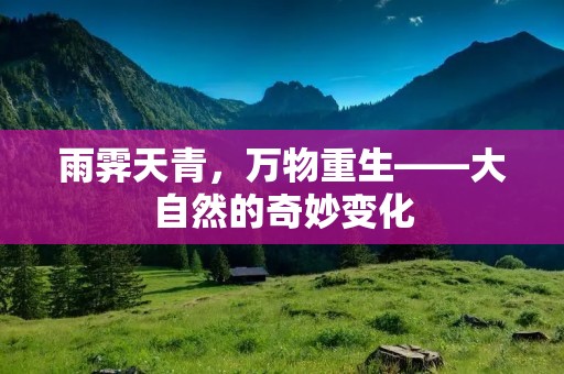 雨霁天青，万物重生——大自然的奇妙变化