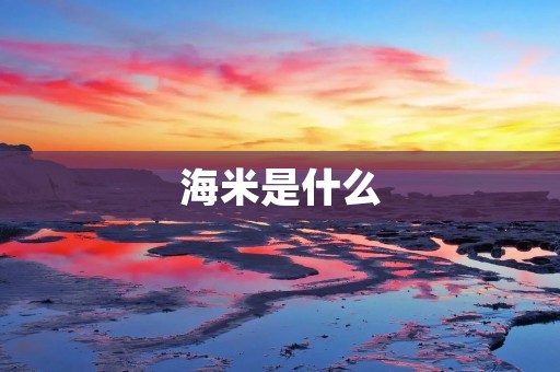 海米是什么