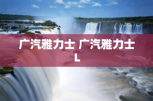 广汽雅力士 广汽雅力士L 广汽雅力士 广汽雅力士L