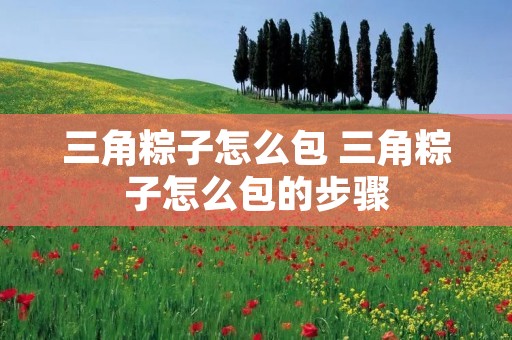三角粽子怎么包 三角粽子怎么包的步骤
