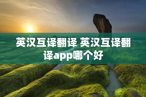 英汉互译翻译 英汉互译翻译app哪个好