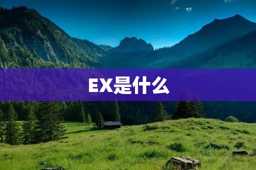 EX是什么