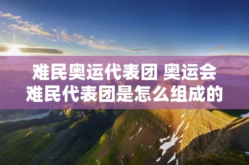 难民奥运代表团 奥运会难民代表团是怎么组成的 难民奥运代表团 奥运会难民代表团是怎么组成的