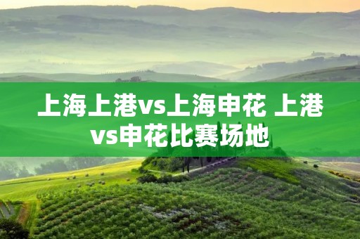 上海上港vs上海申花 上港vs申花比赛场地
