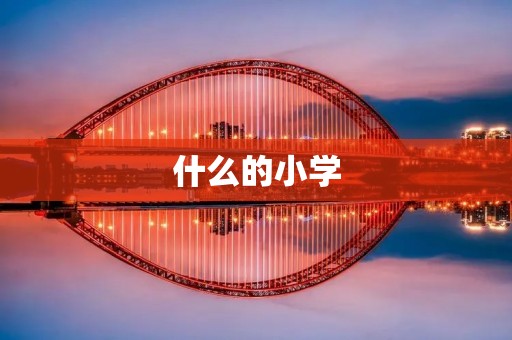 什么的小学