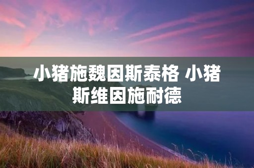 小猪施魏因斯泰格 小猪斯维因施耐德 小猪施魏因斯泰格 小猪斯维因施耐德