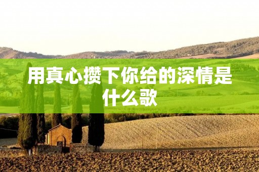 用真心攒下你给的深情是什么歌