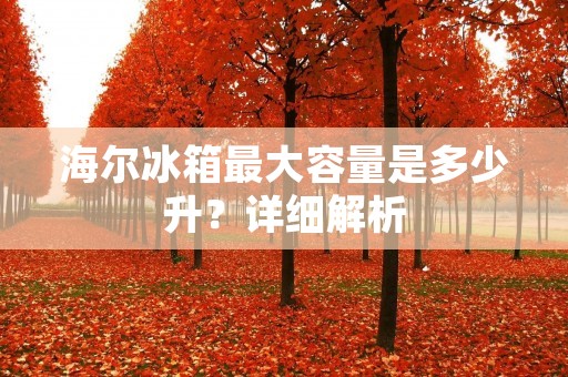 海尔冰箱最大容量是多少升?详细解析 海尔冰箱最大容量是多少升?详细解析