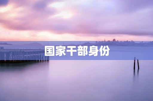 国家干部身份：责任与使命