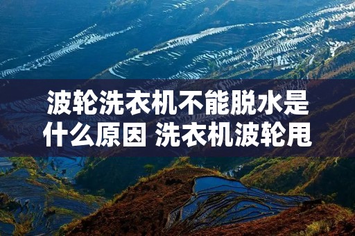 波轮洗衣机不能脱水是什么原因 洗衣机波轮甩干不动是什么原因