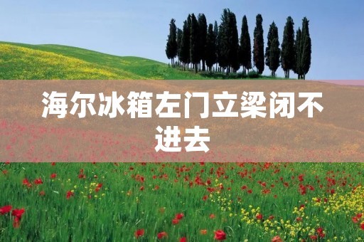 海尔冰箱左门立梁闭不进去:原因及解决方法 海尔冰箱左门立梁闭不进去:原因及解决方法