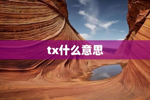 tx什么意思