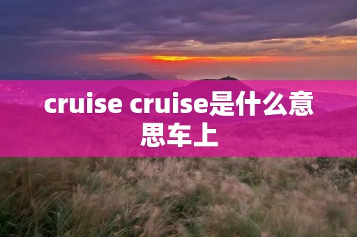 cruise cruise是什么意思车上