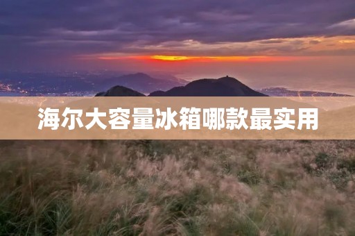 海尔大容量冰箱哪款最实用
