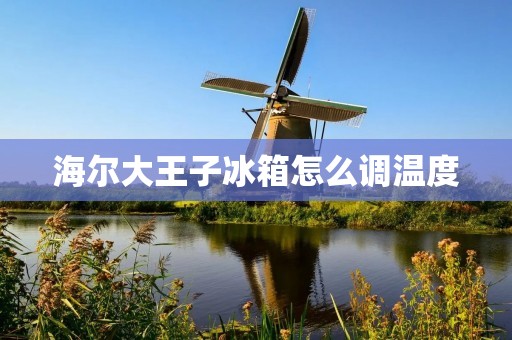 海尔大王子冰箱怎么调温度