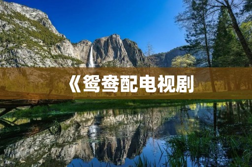 《鸳鸯配电视剧:一段跨越时空的爱情故事》 《鸳鸯配电视剧:一段跨越时空的爱情故事》