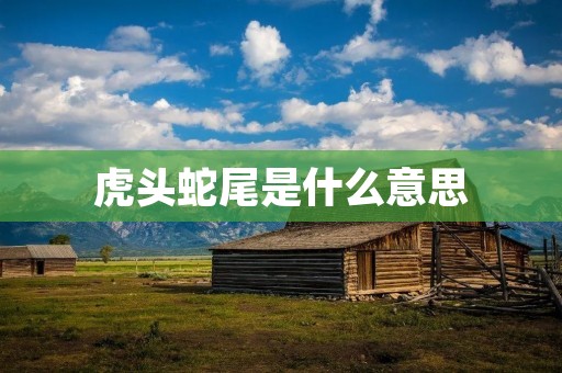 虎头蛇尾是什么意思