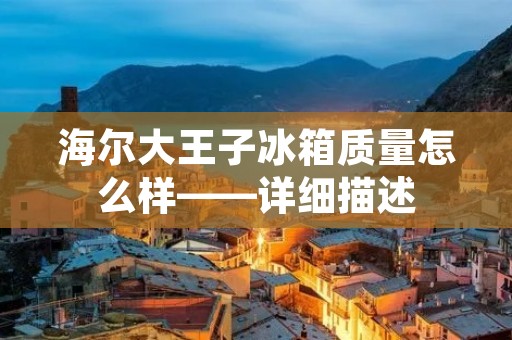 海尔大王子冰箱质量怎么样——详细描述