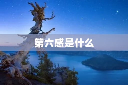 第六感是什么