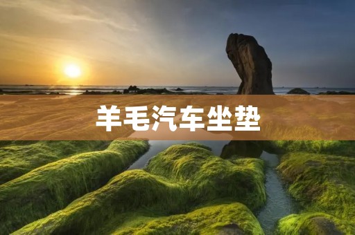 羊毛汽车坐垫：让你的驾驶体验更加舒适温暖