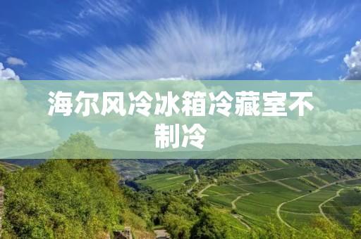 海尔风冷冰箱冷藏室不制冷：原因与解决办法