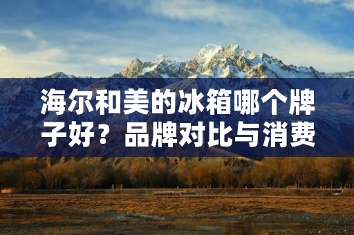 海尔和美的冰箱哪个牌子好？品牌对比与消费者评价揭秘