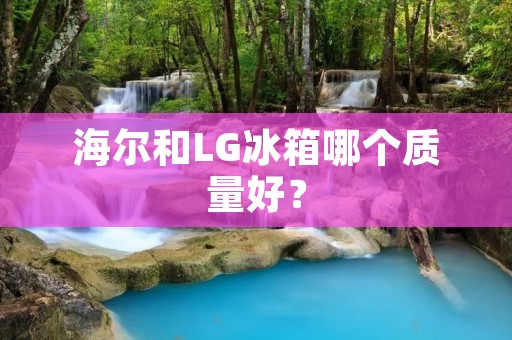 海尔和LG冰箱哪个质量好？