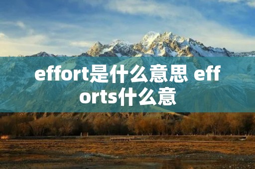 effort是什么意思 efforts什么意 effort是什么意思 efforts什么意
