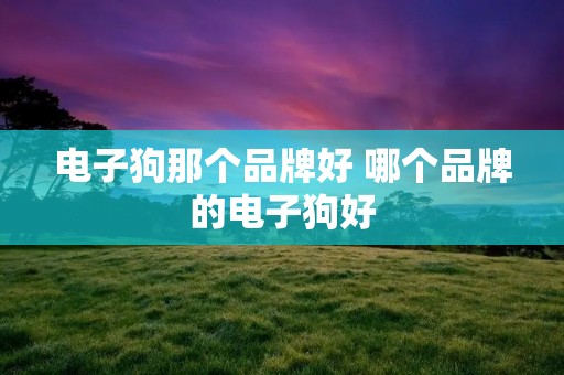电子狗那个品牌好 哪个品牌的电子狗好 电子狗那个品牌好 哪个品牌的电子狗好