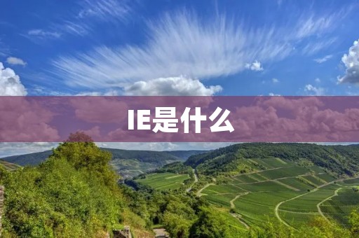 IE是什么