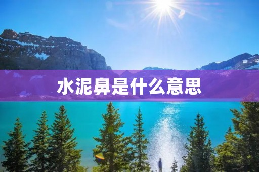 水泥鼻是什么意思
