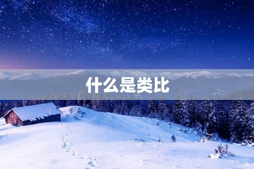 什么是类比