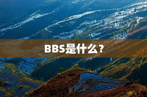 BBS是什么？