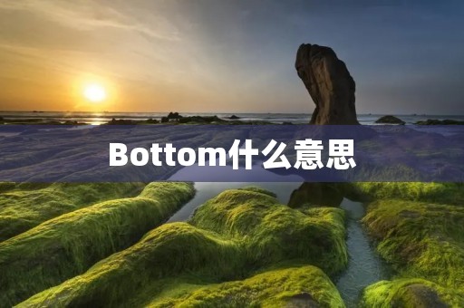 Bottom什么意思